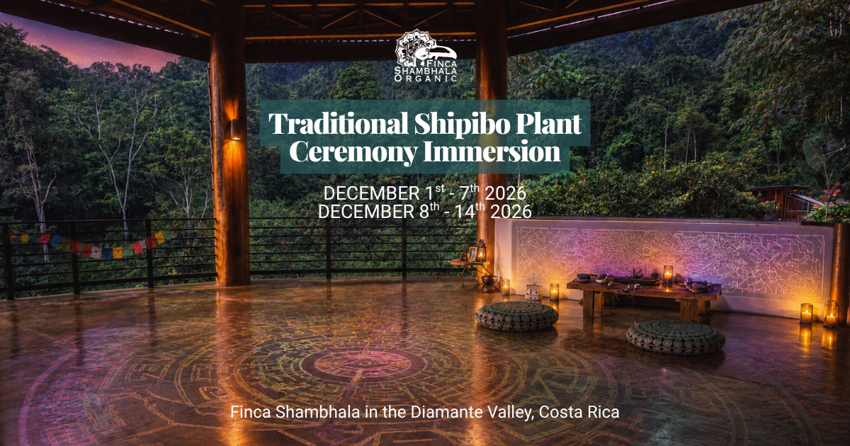 Traditional Shipibo Ceremony