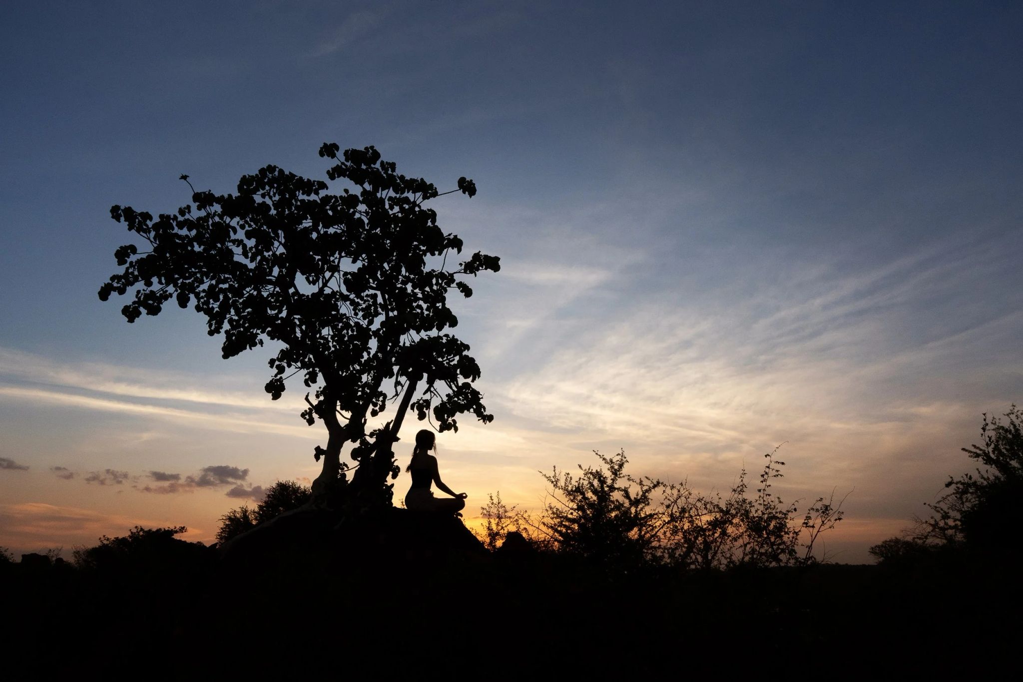 Silhouette of a woman meditating beneath a tree at sunrise in Greater Kruger National Park, embracing stillness and connection with nature.