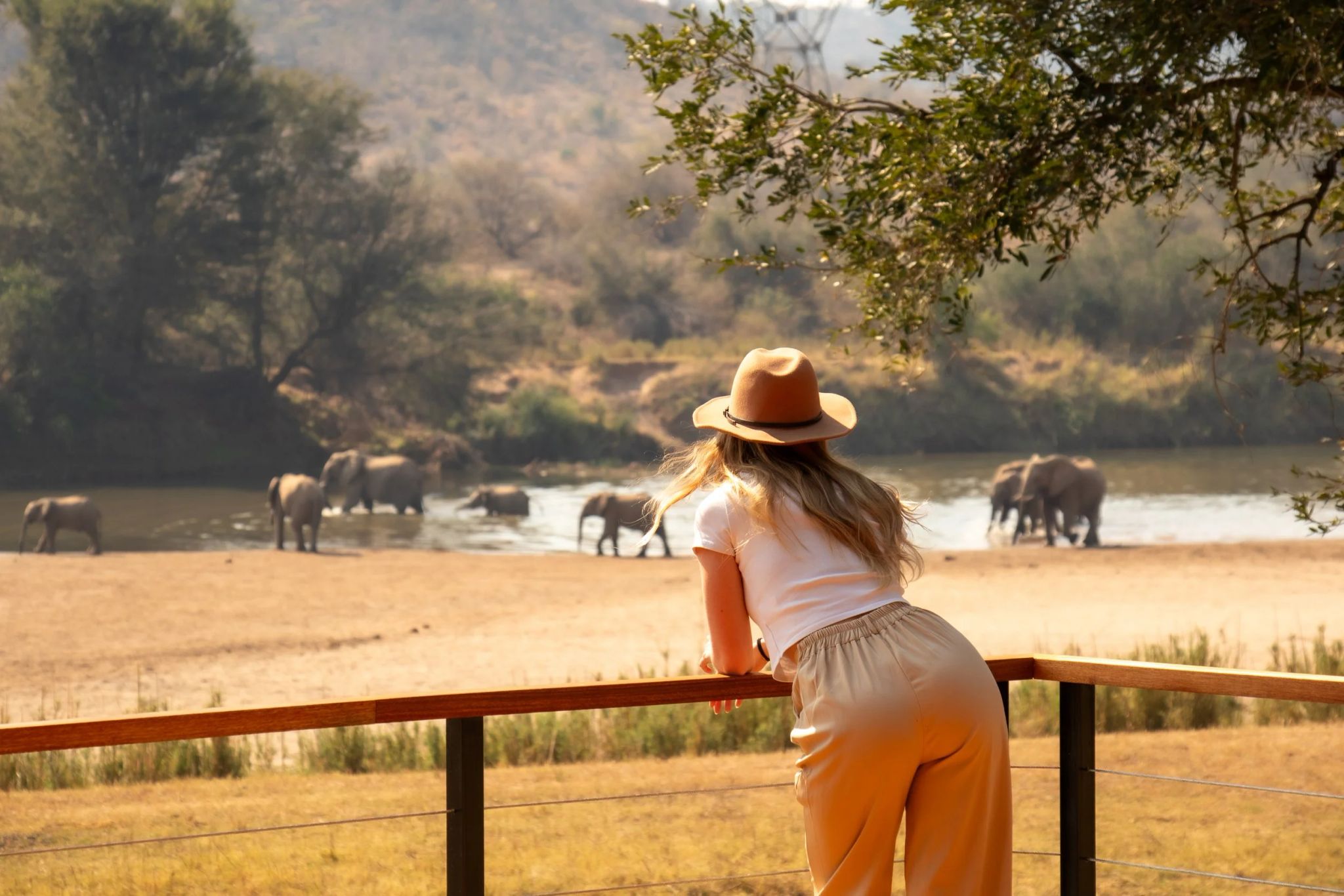 The Shift Women's Safari Retreat South Africa | For the woman who knows she is meant for more