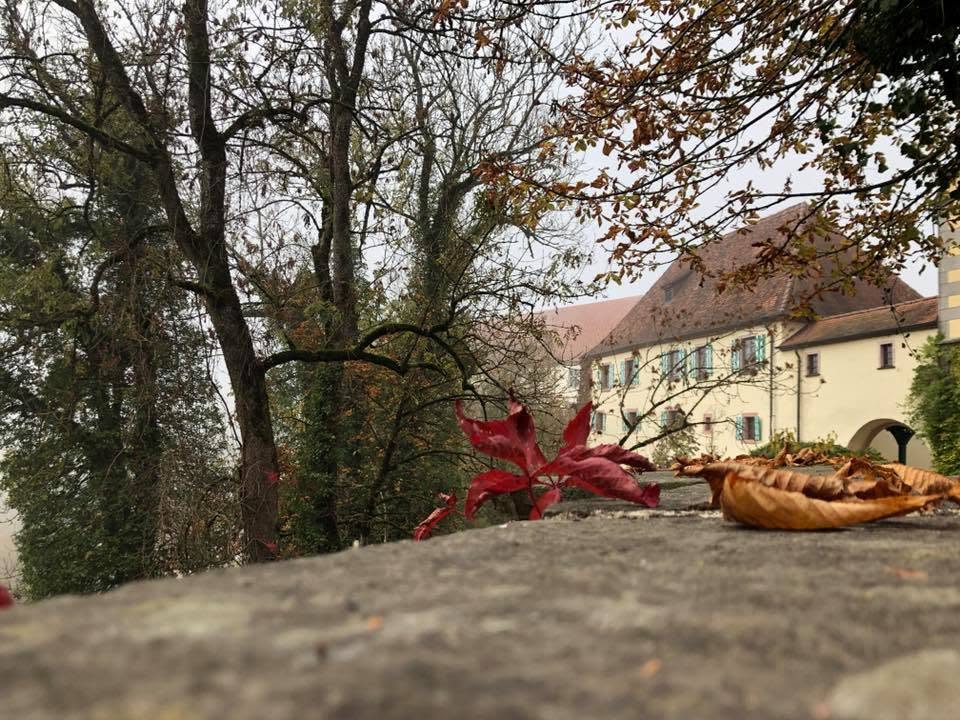 Gastschloss Haigerloch, Foto 2