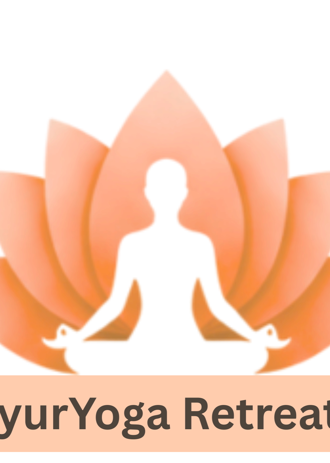 Profile image for AyurYoga Retreats