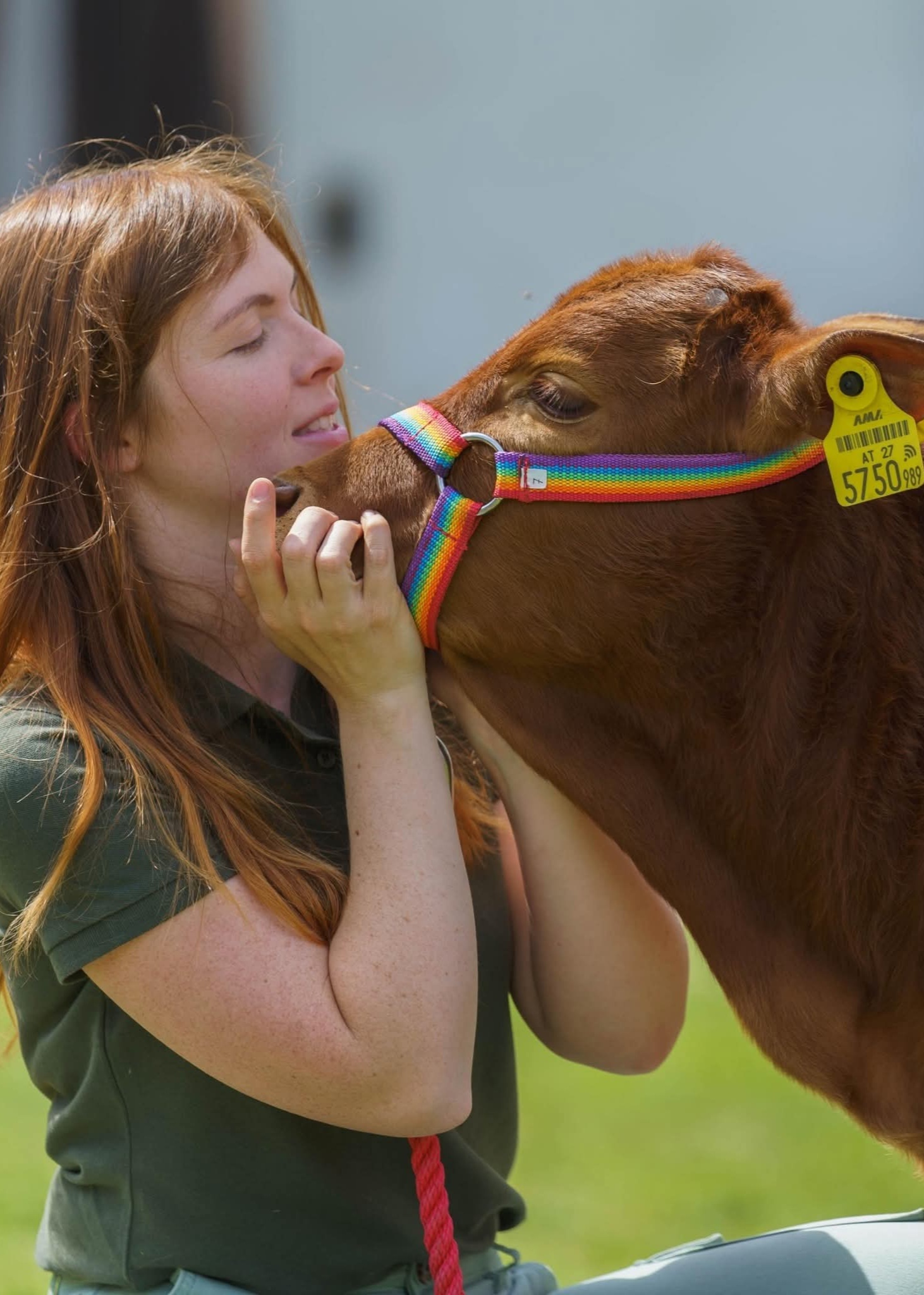 Profile image for Silvia Emhart 