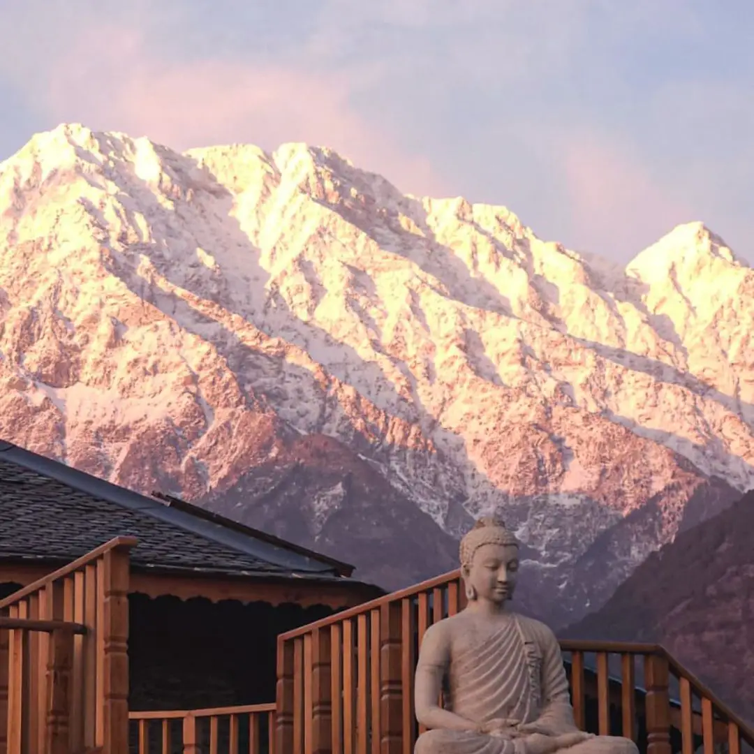Osho Himalayas, photo 3