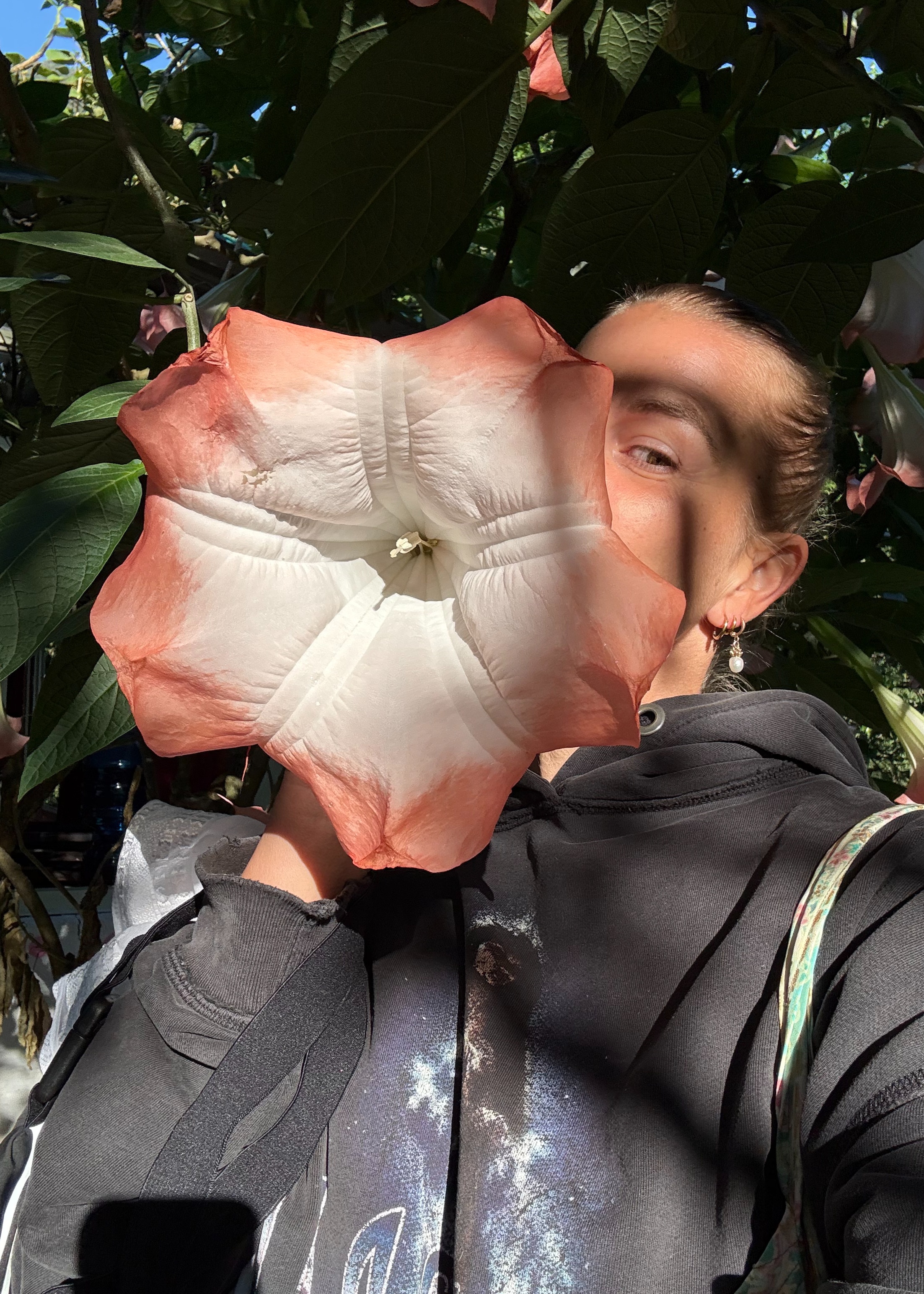 Profile image of Sophie du Palais