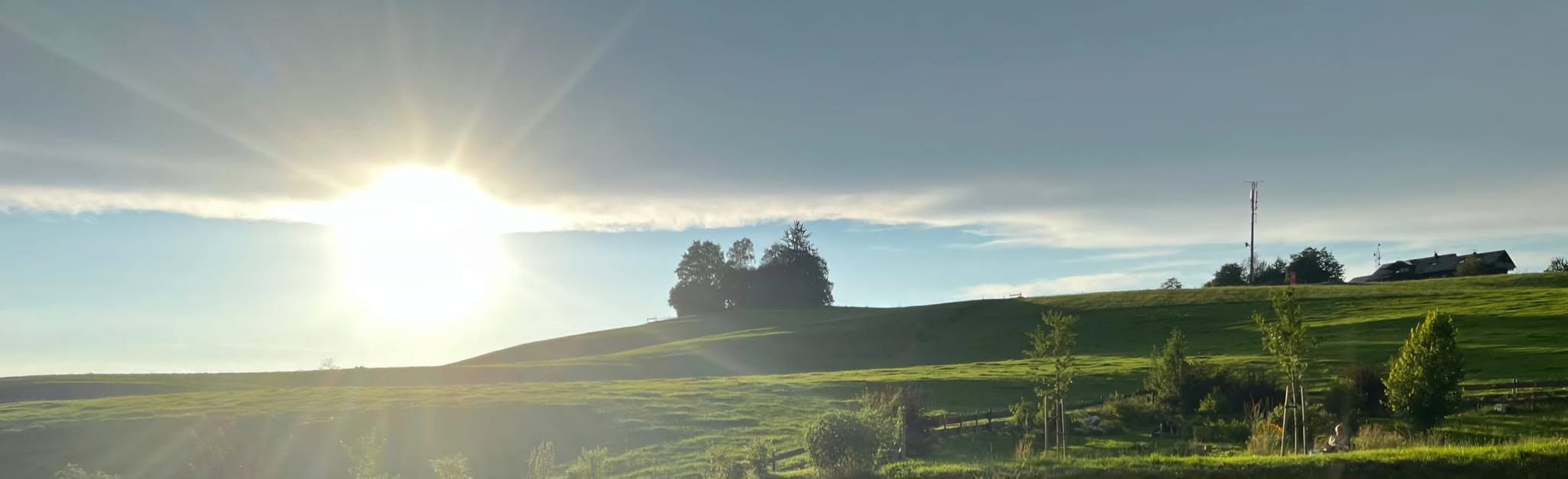 Voga Vidya Allgäu backdrop