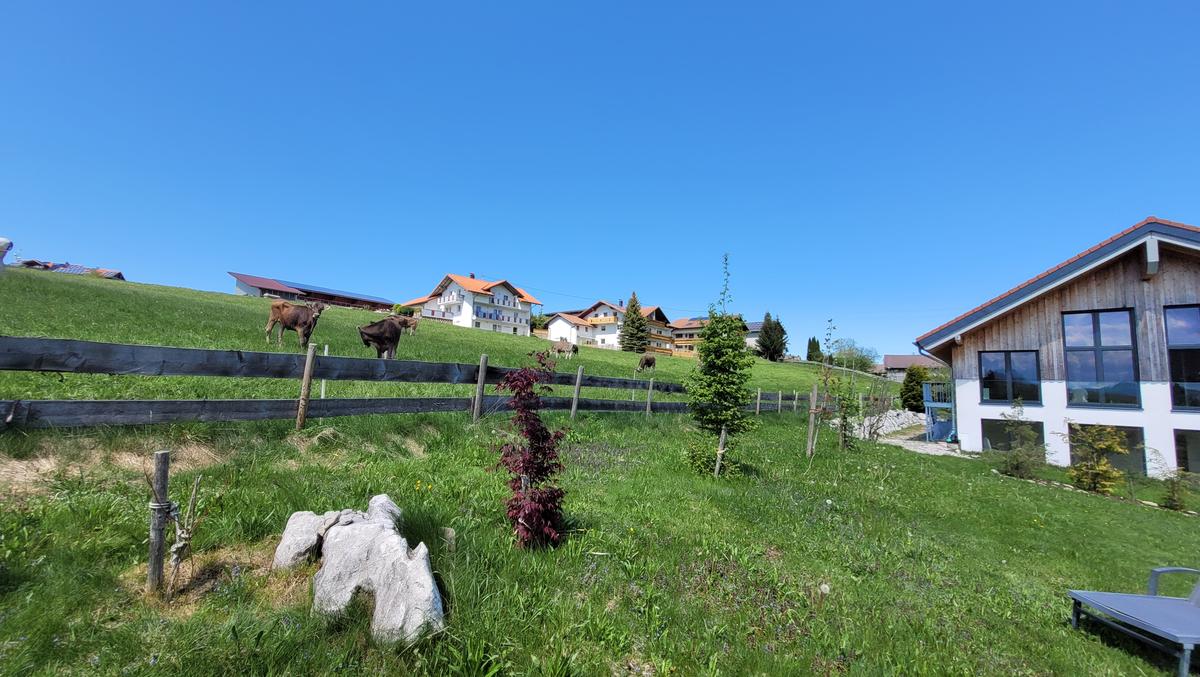Voga Vidya Allgäu, photo 3