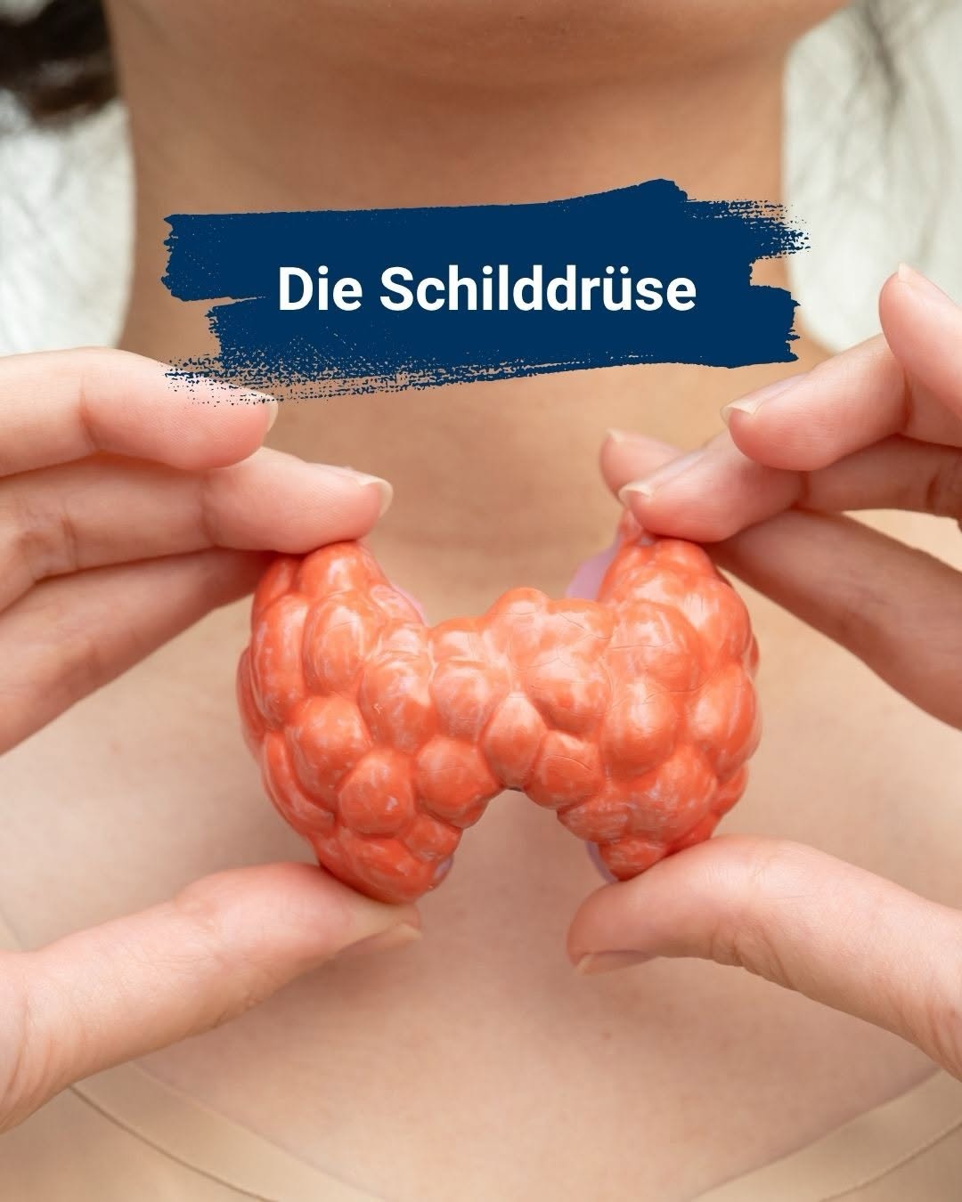 Thalamus Heilpraktikerschule Stuttgart, Foto 4