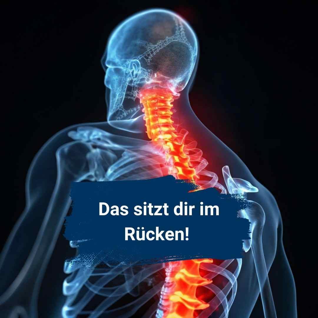 Thalamus Heilpraktikerschule Stuttgart, Foto 1