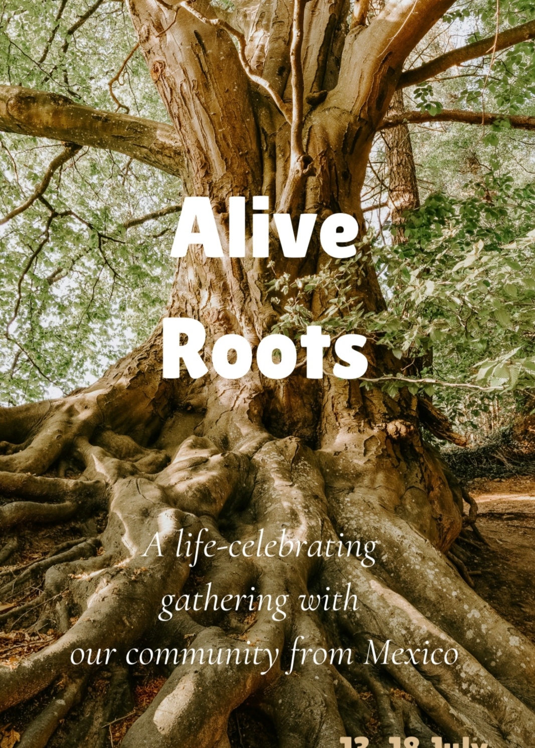 Profile image for Alive Roots Retreat