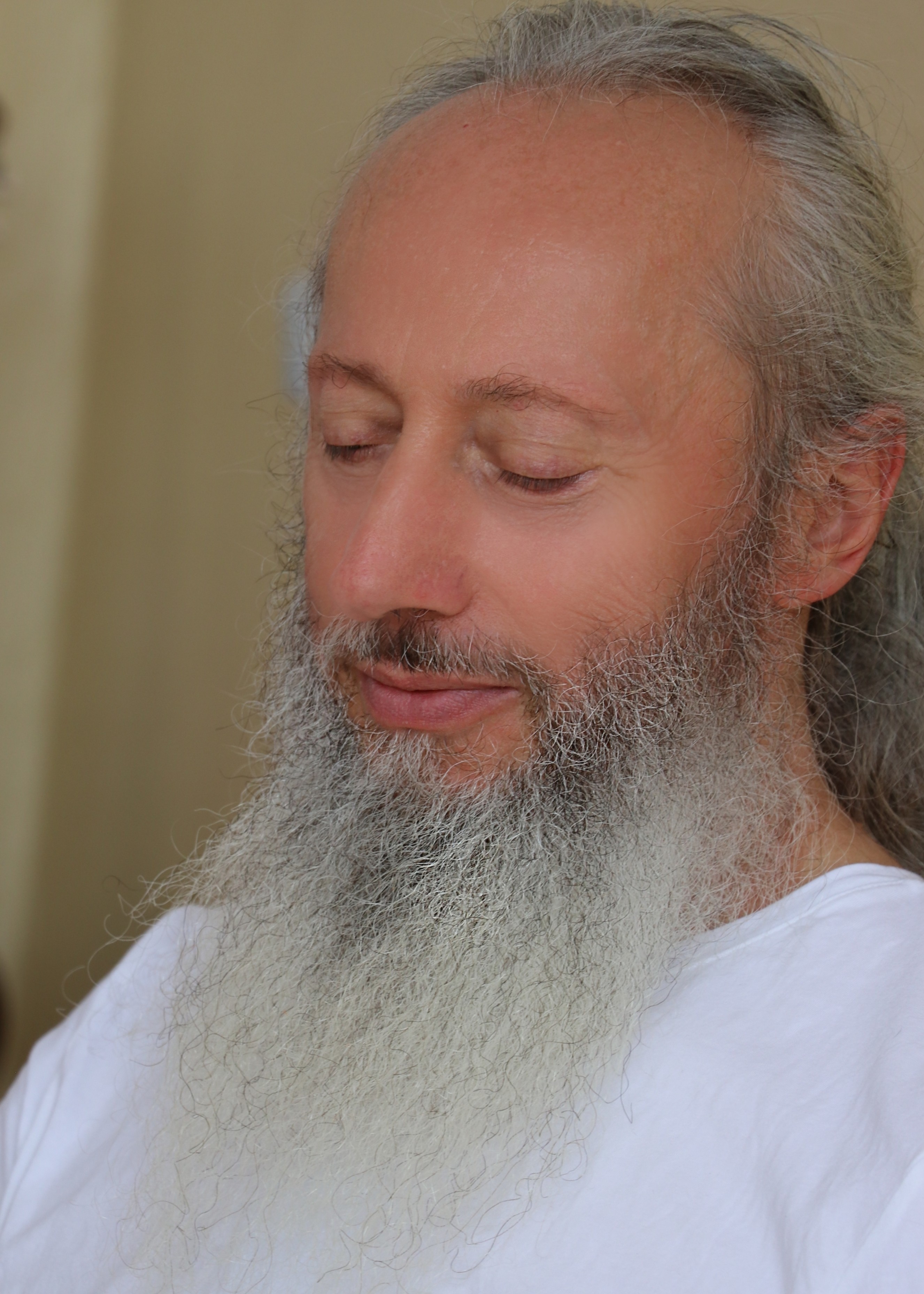Profile image for Predrag Nikic & European House of Yoga Light
