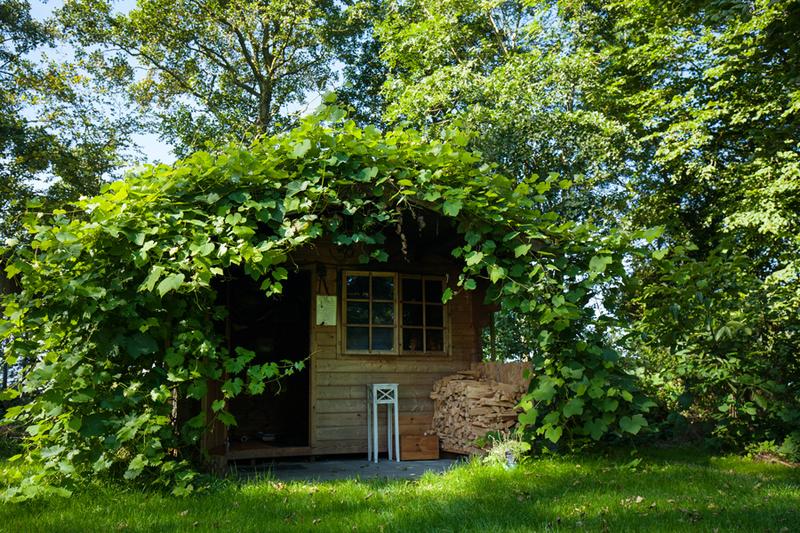 Yoga Vidya Nordsee Ashram, Foto 4