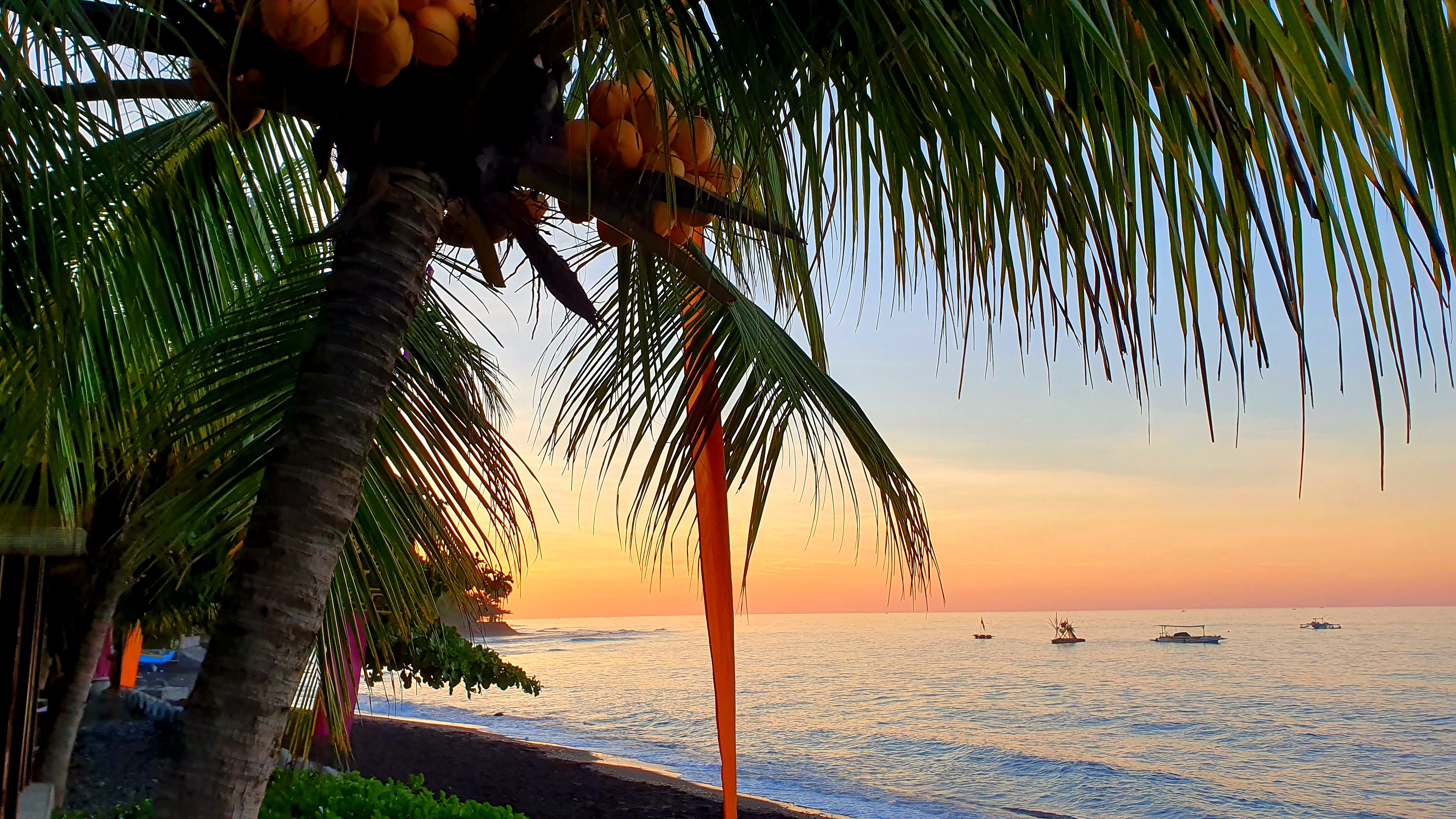 Shambala Oceanside Retreat Bali, photo 1