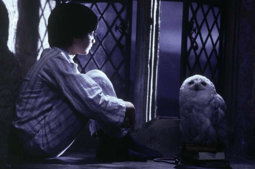 Harry Potter vuelve al cine: La piedra filosofal se reestrena en Argentina por sus 25 años
