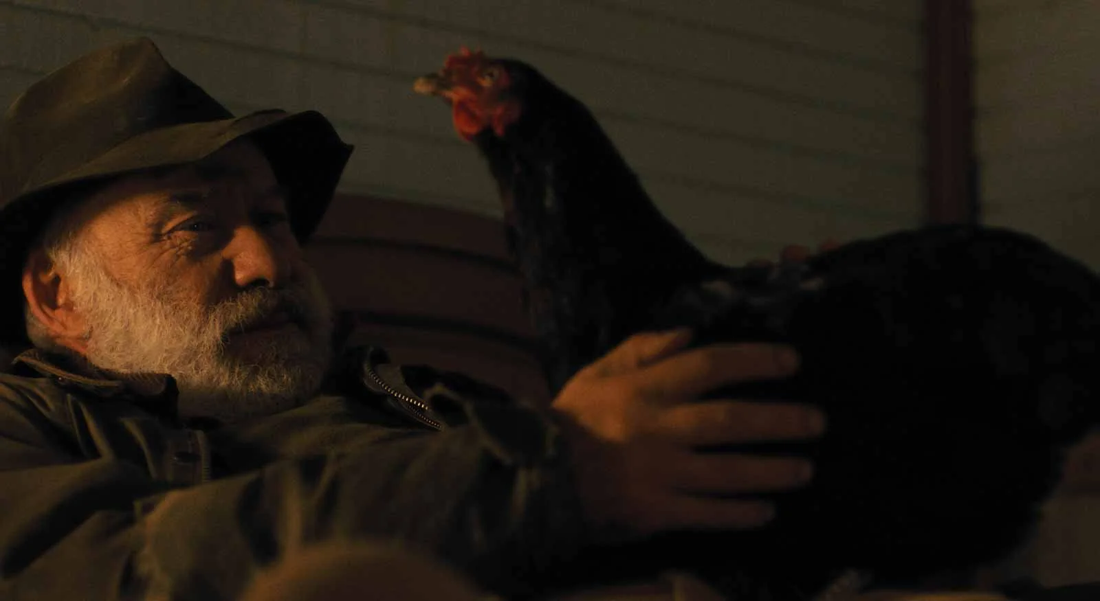 Gallina (Kota): de qué trata la película que tiene a una gallina como protagonista