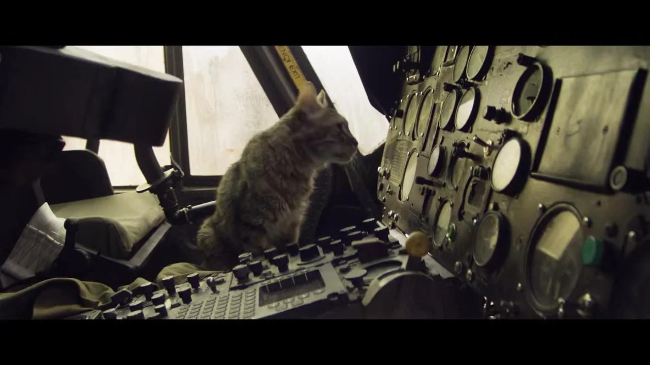Lúculo el gato en la cabina de un helicóptero en Apocalipsis Z Nuevo mundo