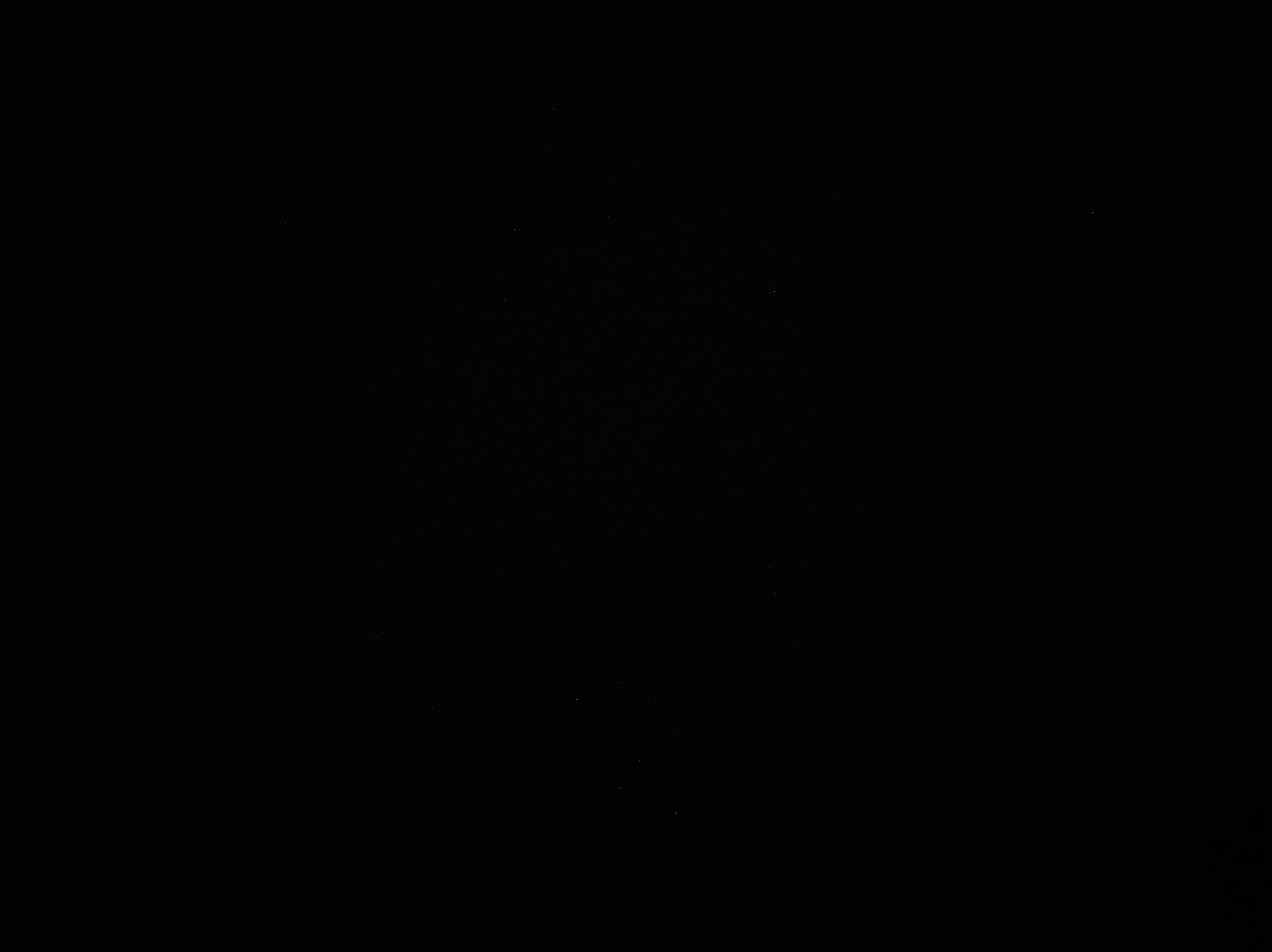 Photo of Dr Faheema Afsin, Nutritionist in Bengaluru, Karnataka