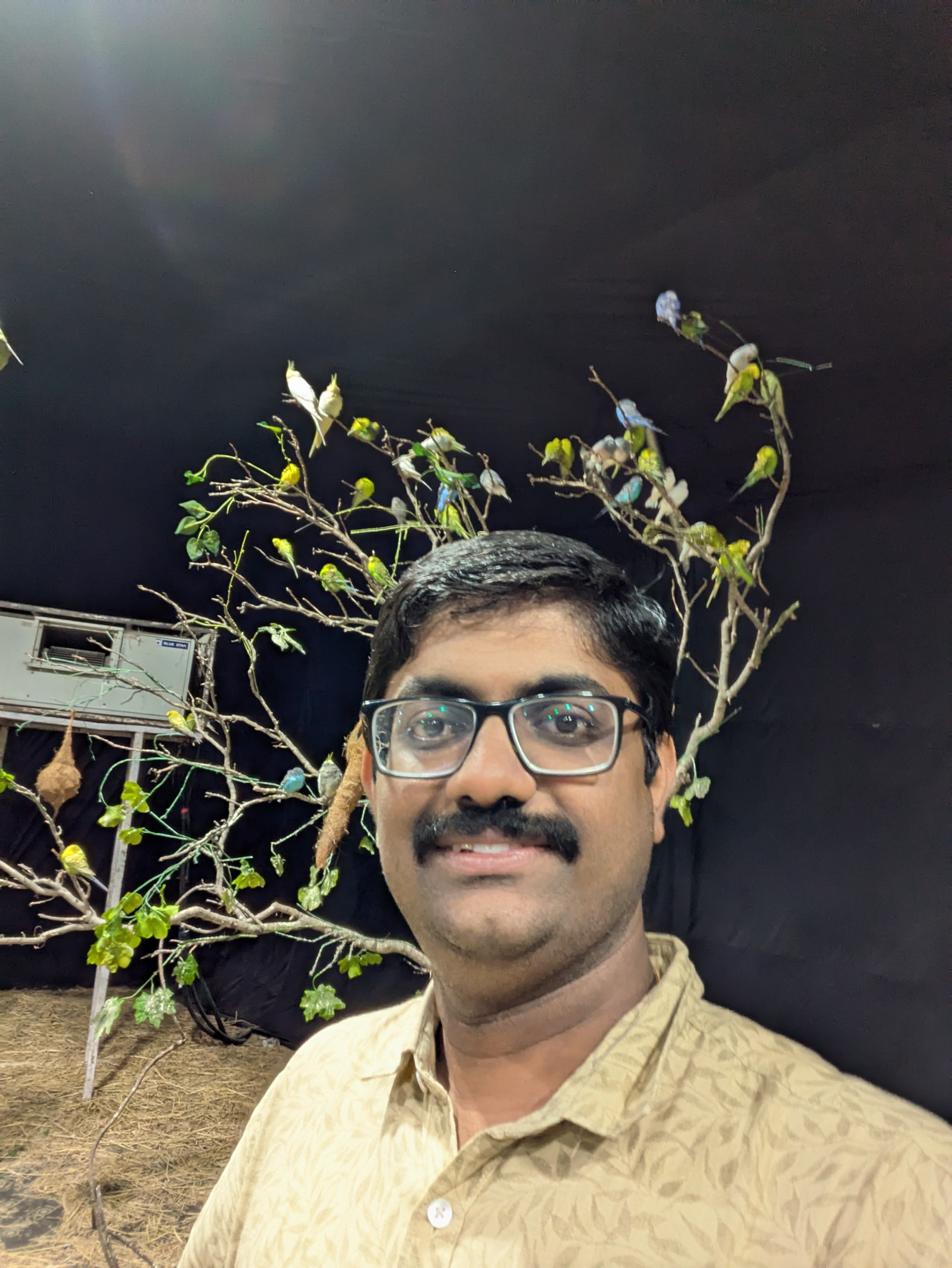 LINGESHWARAN S