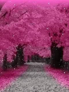 Photo of Dr Mohammed, Family Physician in Guntur, Andhra Pradesh