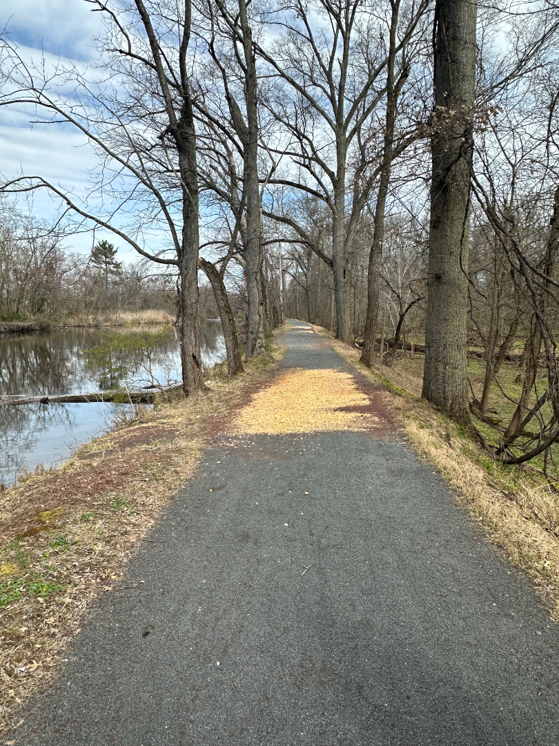 Photo of Dr Jahnavi Chintala, Family Physicians in Vishakapatnam, Andhra Pradesh
