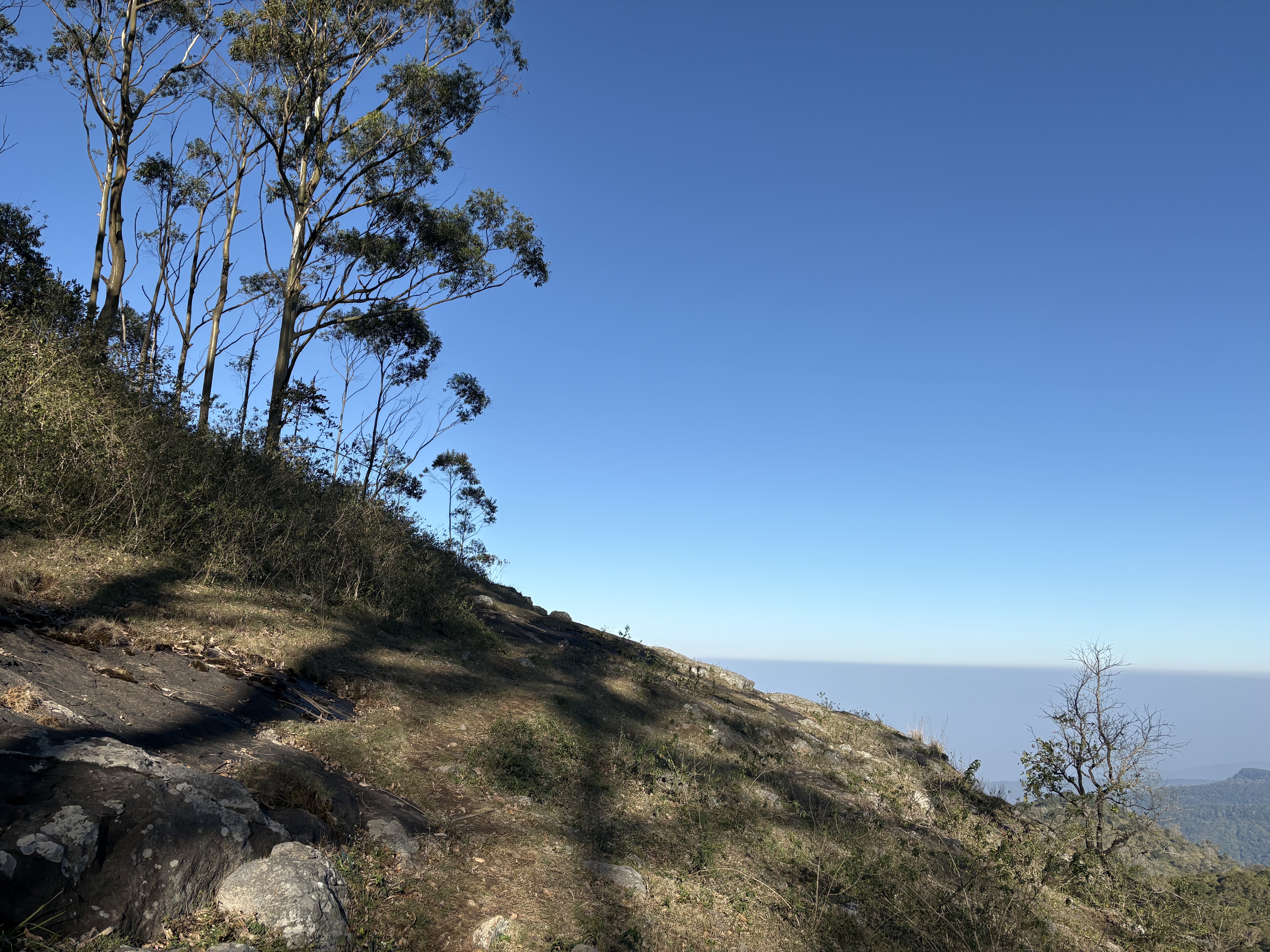 Photo of Abirami, Family Physicians in Hyderabad, Telangana