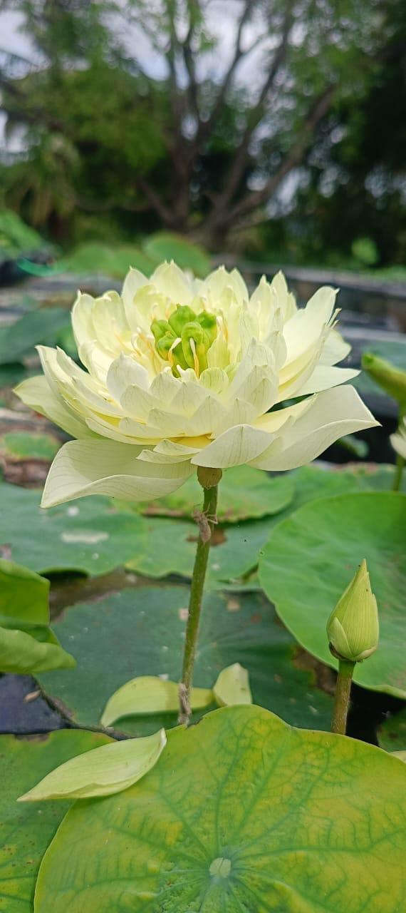 Photo of Dr Maithriye Kavishree, Family Physician in Coimbatore, Tamil Nadu