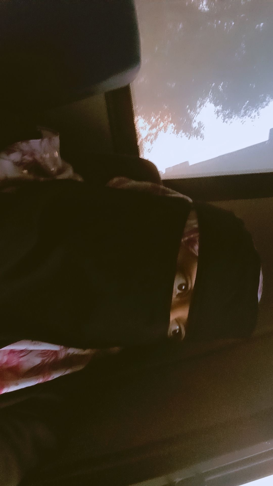 Photo of Dr. Syeda Haajer, Family Physician in Hyderabad, Andhra Pradesh