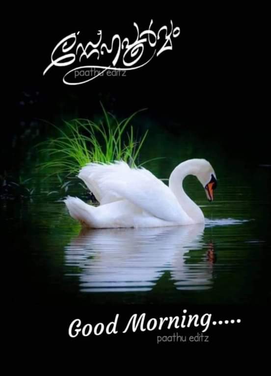 Photo of Neethumol Jose, Nutritionist in Kalady, Kerala