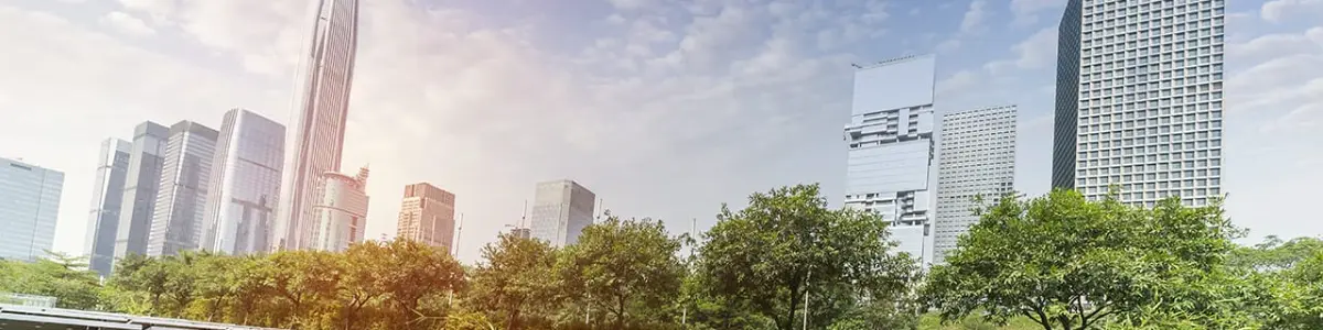Banner 1