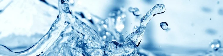 Banner 1