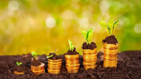Ecuador pierde una fortuna verde: $2.000 millones anuales por estar fuera de los mercados de carbono