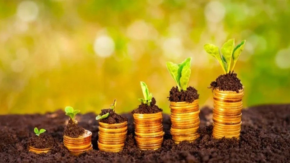Ecuador pierde una fortuna verde: $2.000 millones anuales por estar fuera de los mercados de carbono