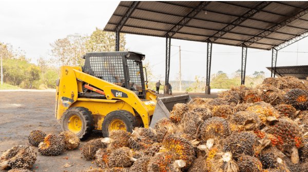 Colombia propone aranceles de hasta el 75 % a productos ecuatorianos en medio de tensión comercial