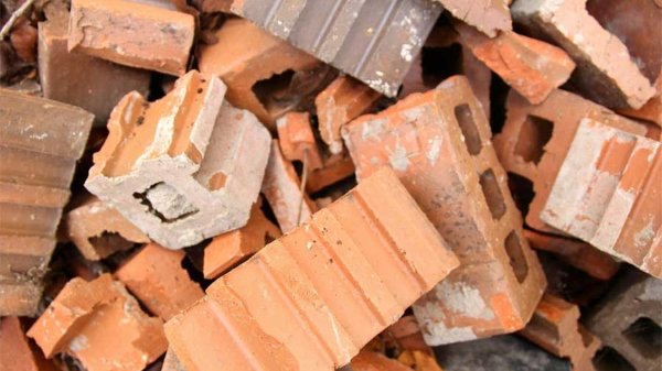 Ladrillos reciclados, caña de azúcar y hongos: los materiales que buscan transformar la construcción