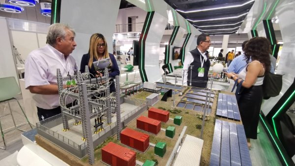 Autogeneración eléctrica: industrias necesitan al menos USD 500.000 por MW y seis meses para instalar equipos de emergencia