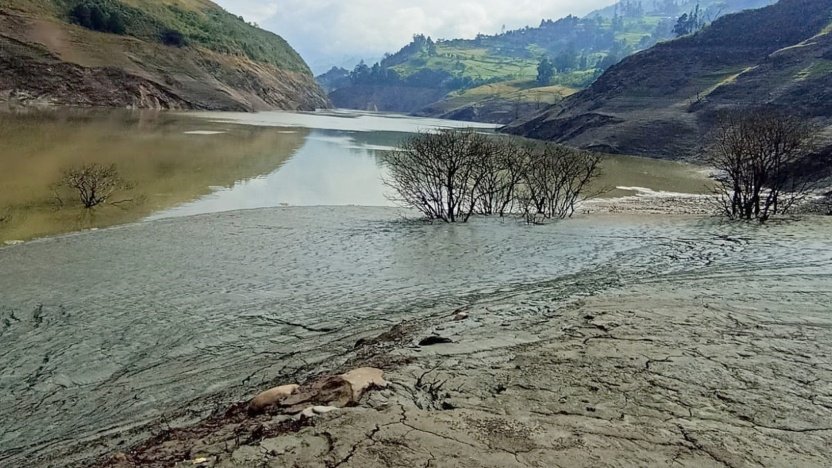 Ecuador en alerta roja: Fenómeno de El Niño amenaza con sequías extremas en cuencas de principales hidroeléctricas Ecuador en alerta roja: Fenómeno de El Niño amenaza con sequías extremas en cuencas de principales hidroeléctricas