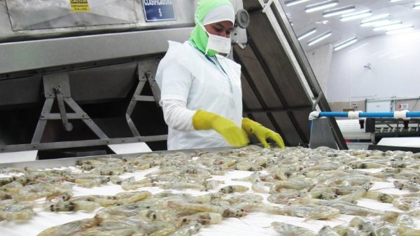 la-economia-de-ecuador-crecio-un-16-interanual-en-mayo