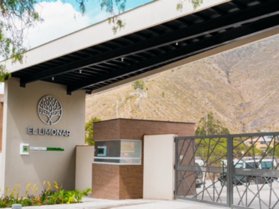 Imagen principal de EL LIMONAR