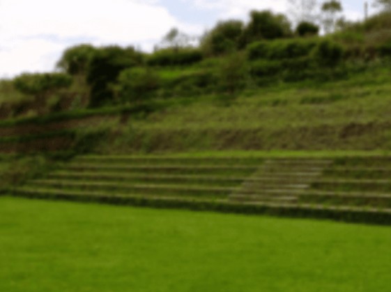 Imagen principal de Terra Viva