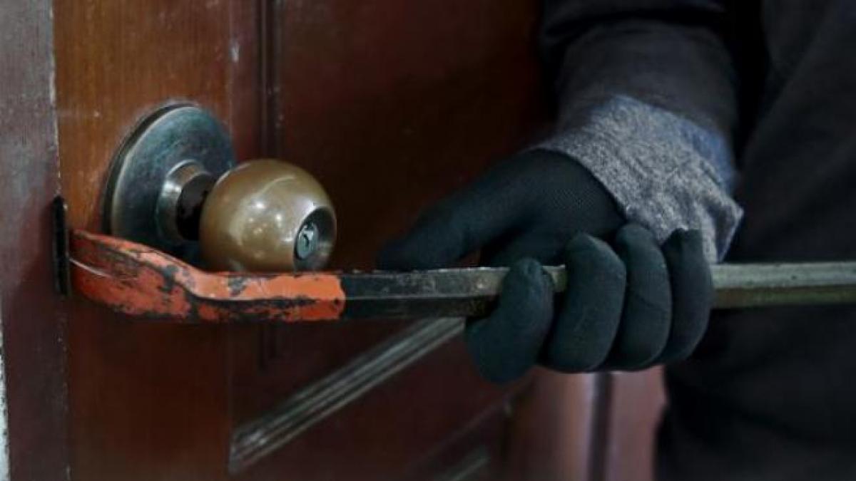 imagen del articulo