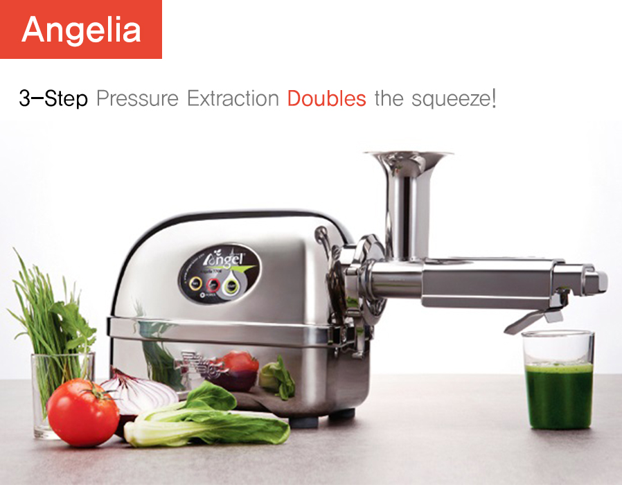 Twin Gear Juicer