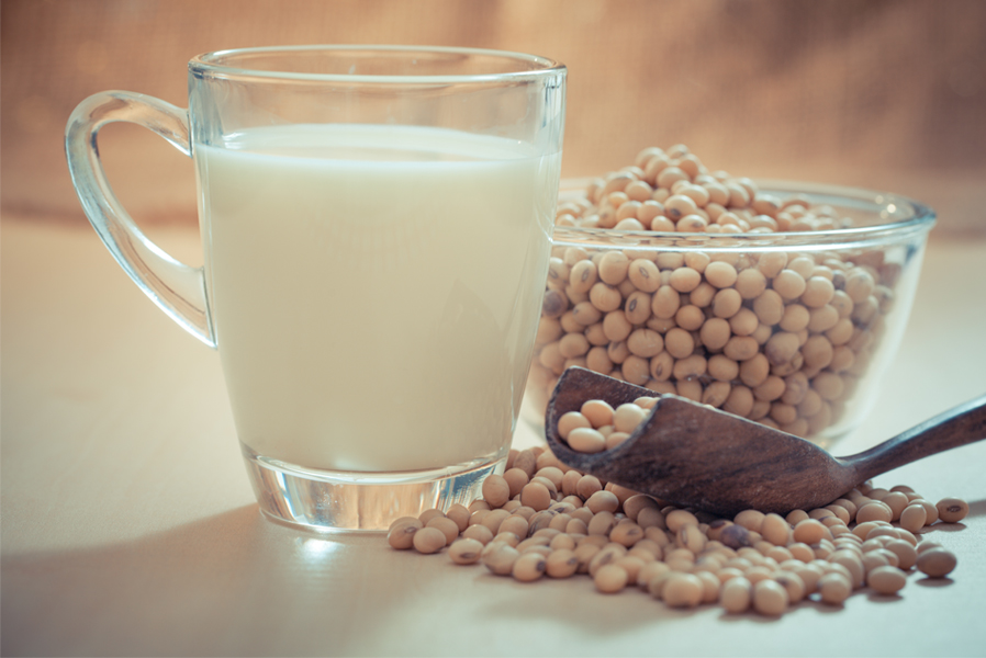 Soymilk Maker