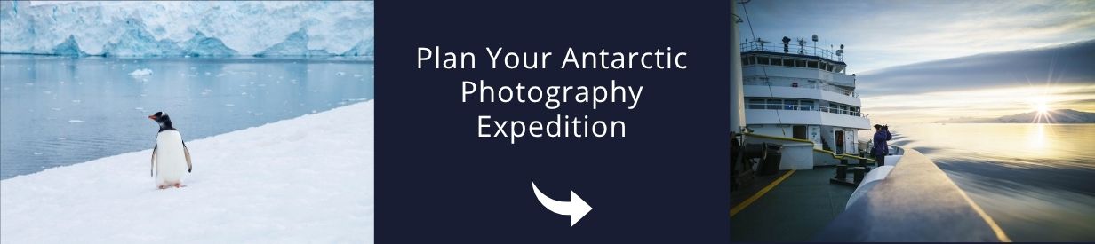 Come and Visit Antarctica!