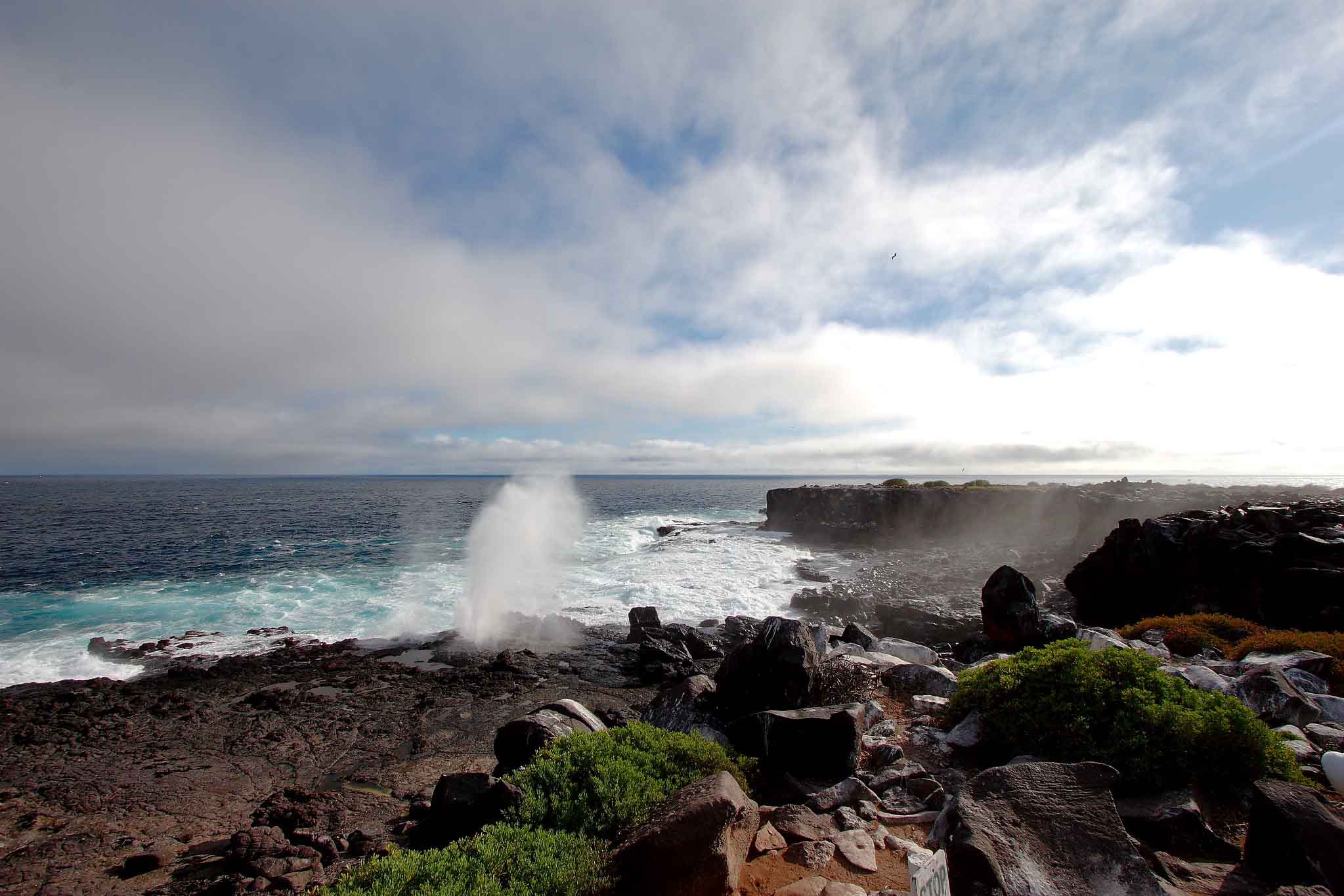 Galapagos islands