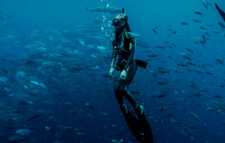 Galapagos diving