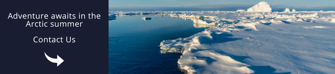 Adventure awaits in the Arctic summer - Contact Us