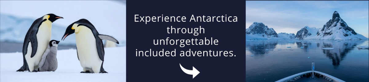 Visit Antarctica