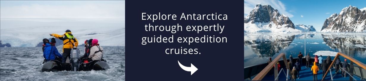Visit Antarctica
