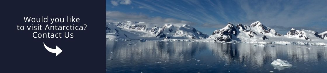 Come to Antartica with us!