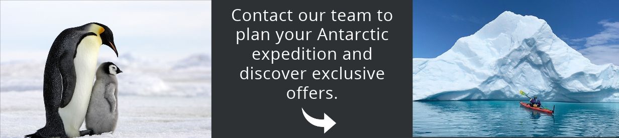 Come and visit Antarctica with us!