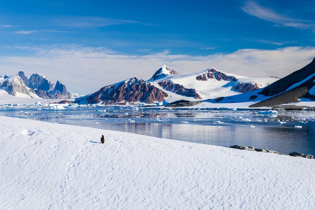 Antarctica Complete